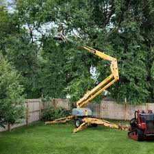 Landscape Design and Installation in Olney, TX